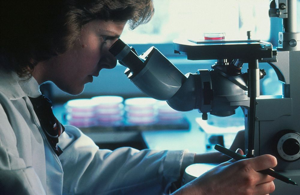 Scientist using a microscope in a laboratory